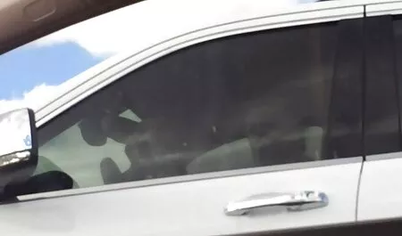 مامان عینک کت سبز و کلاه با اسباب بازی عکس سگسی جدید