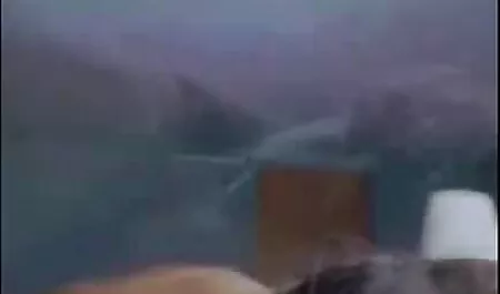 اسب Amatorsha فرستاده شده بر روی تنه ، که اینستاگرام فیلم سکسی جدید در قفسه سینه خود را برداشت ، لرزش در جهات مختلف