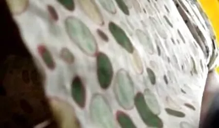 بازیگر نوجوان نشان می دهد بیدمشک از طریق یک سوراخ فیلم سکسی خارجی جدید 2018 در شورت