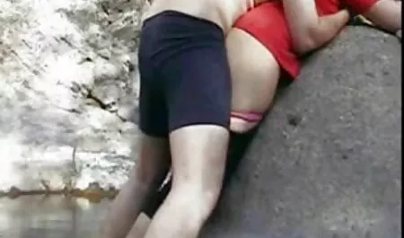 هفت گاو نر جوان نشسته بر روی صورت مرد با یک باند و عکس سگس جدید سپس آنها مقعد